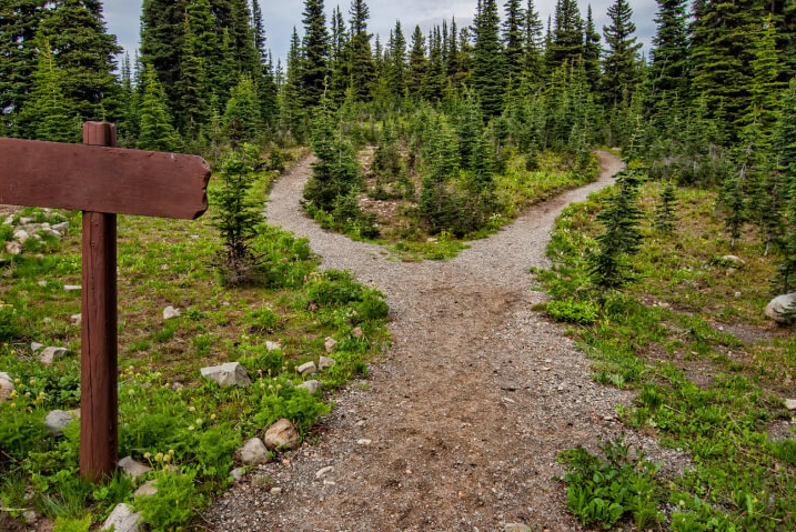 mountain path to snow top on nature landscape